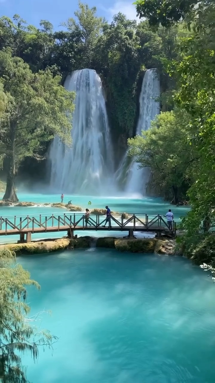 La naturaleza siempre nos sorprende.

🎥: @la_huasteca_potosina

#abzturístico #másqueunarevista #LaHuastecaPotosina