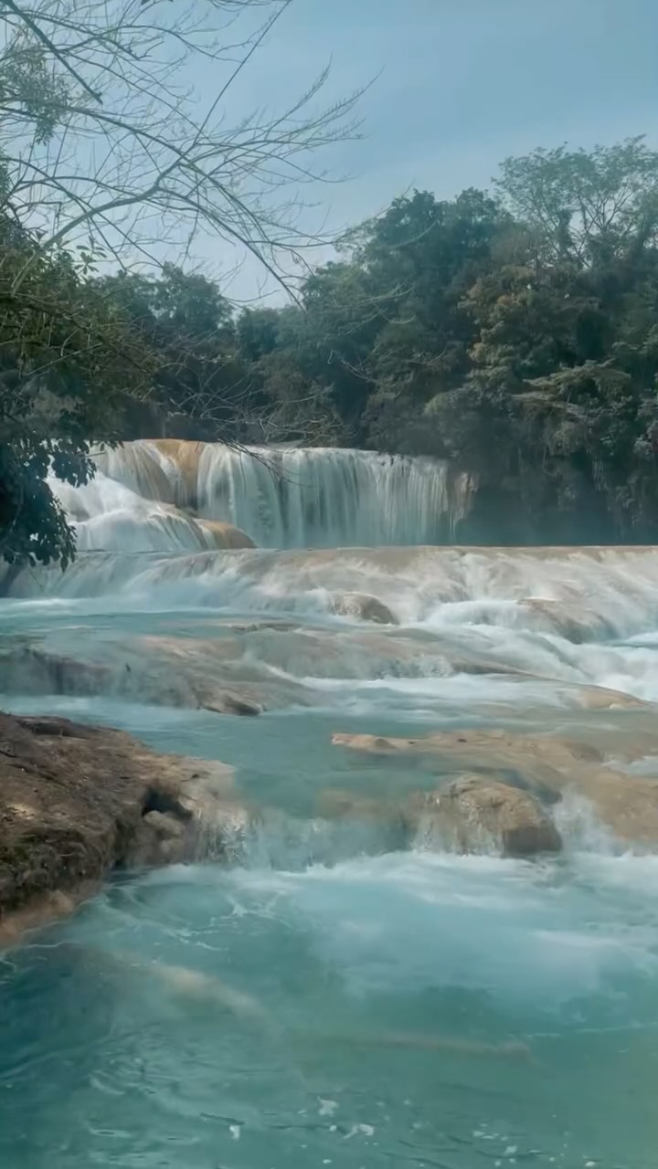 Chiapas es un suspiro verde que se queda contigo. Aquí, la selva abraza el silencio y lo transforma en vida.

#abzturistico #másqueunarevista #Chiapas