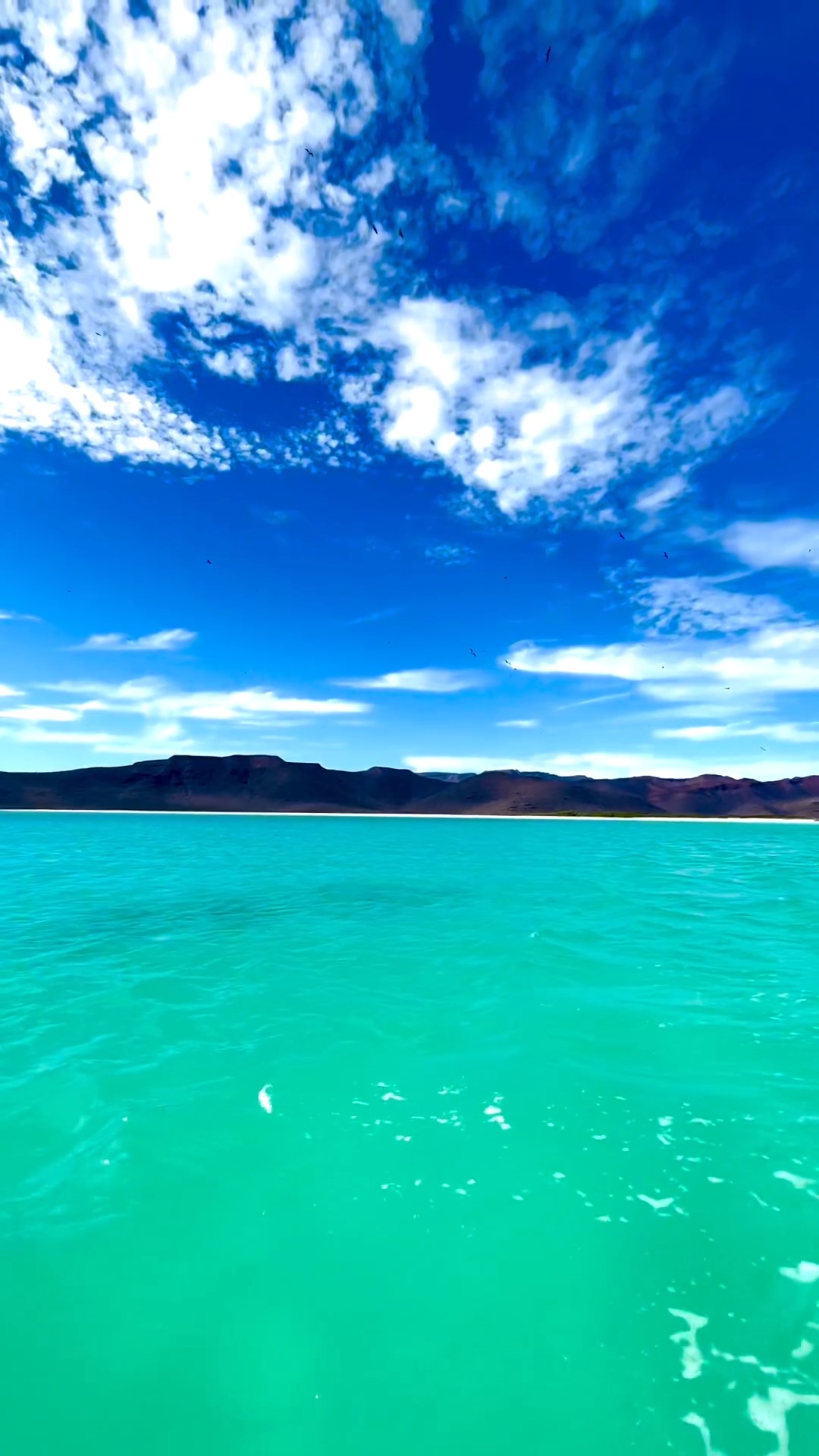 Entre el azul infinito del Mar de Cortés y el dorado del desierto, La Paz se convierte en el destino perfecto para conectar con la naturaleza en su estado más puro.

Cada rincón es un descubrimiento sorprendente, que a veces no puede capturarse en una foto, debe vivirse para sentir de verdad.

📸: @conoce_mexico

#abzturístico #másqueunarevista