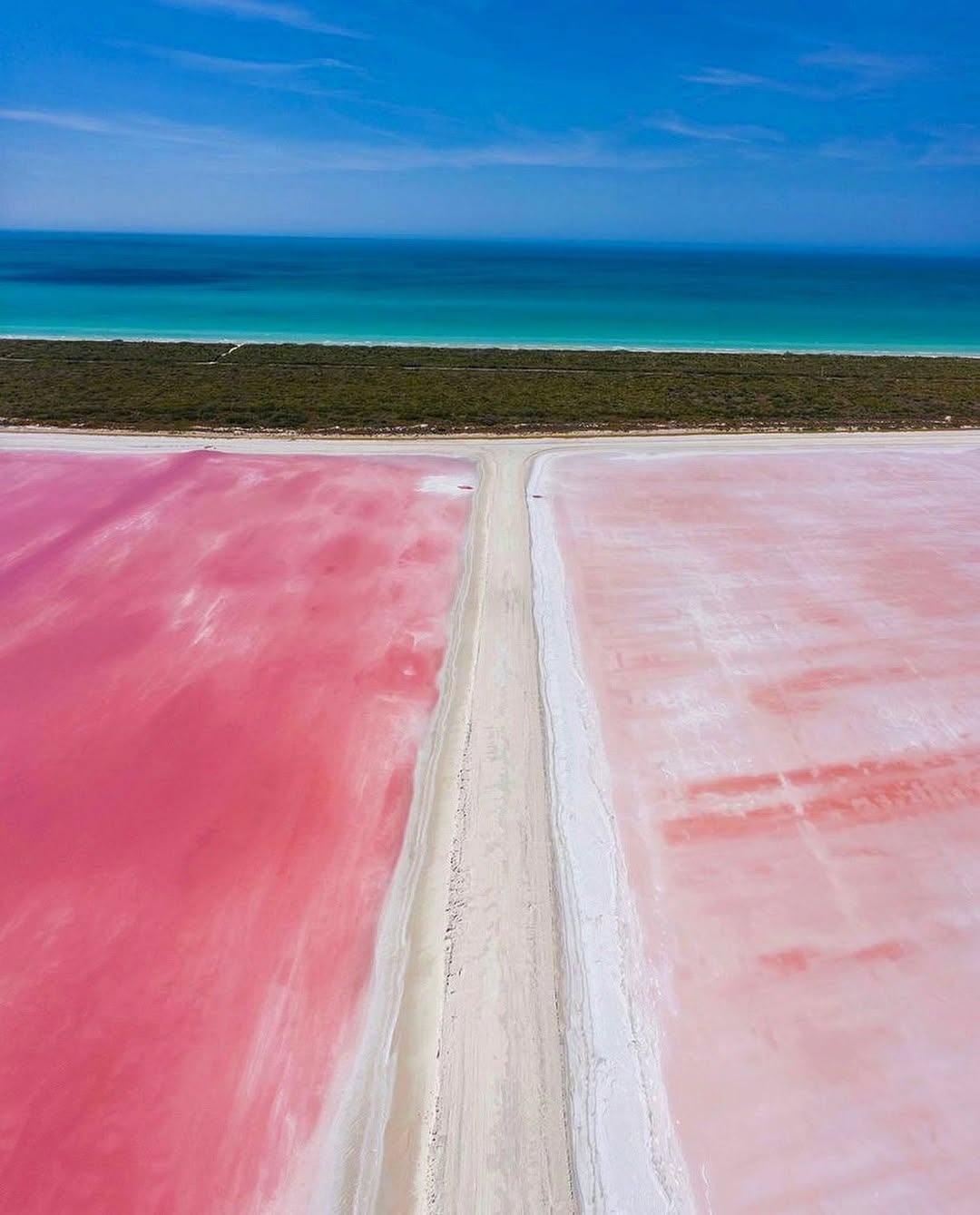Un imperdible de Yucatán son Las Coloradas. Famosas por su color rosado producido por la sal, es un spot increíble de fotografías.

¿Ya las conoces?

📸: @tripitto
#abzturístico #másqueunarevista
