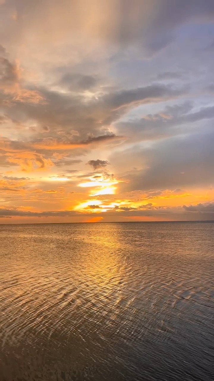 Ubicada al suroeste de México, Campeche es una ciudad amurallada declarada Patrimonio de la Humanidad por la UNESCO. Su riqueza arqueológica, legado colonial, gastronomía típica y tranquilidad costera la convierten en un destino ideal para el turismo cultural, ecológico y de descanso.

📹: @conoce_mexico

#abzturístico #másqueunarevista #campeche #méxico