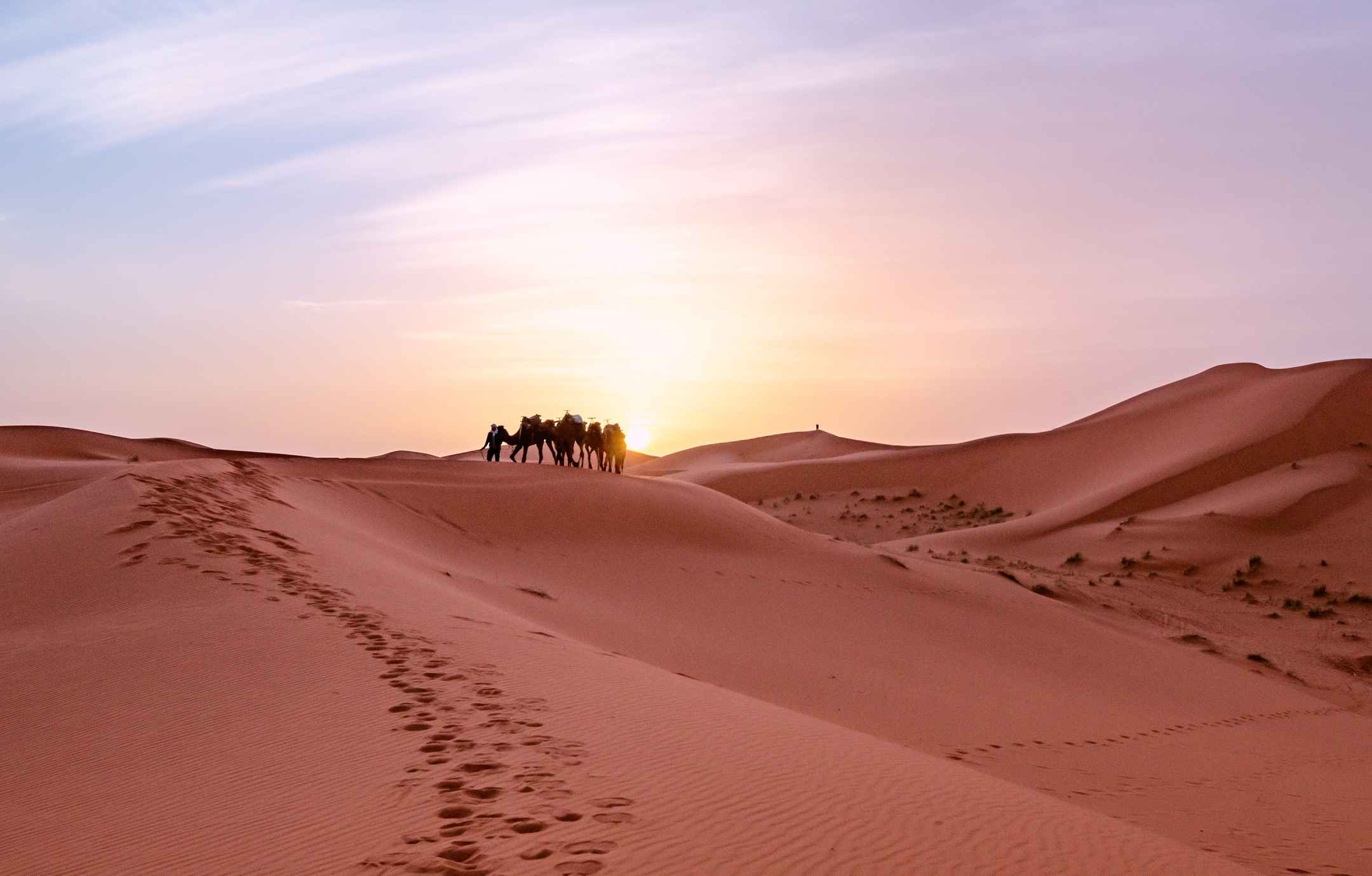 Marruecos tiene que ser un destino que sí o sí debe estar en tu bucket list. Te maravillaras con el desierto de Sahara, disfrutar del té o el café será una experiencia impresionante y regatear será todo un deporte.

#abzturístico #másqueunarevista #marruecos #travel #viajar
