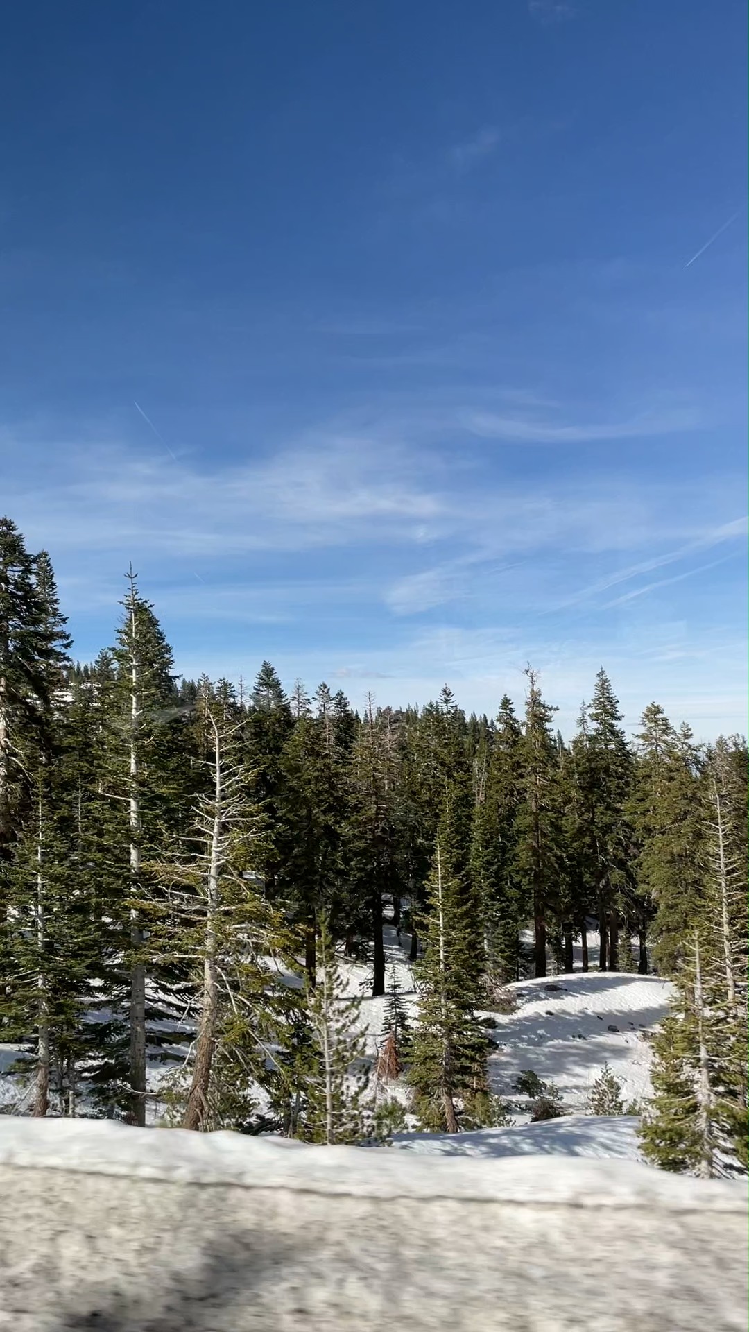 ¿Ya conocen @Wildslide? 

Es una nueva atracción de invierno en @renotahoe, la cual se realiza en @mtroseskitahoe y se trata de deslizarse en unas enormes donas. Tanto chicos como grandes pueden realizar la actividad y te aseguramos que ¡todos se divierten!

#abzturístico #másqueunarevista #RENOTAHOE