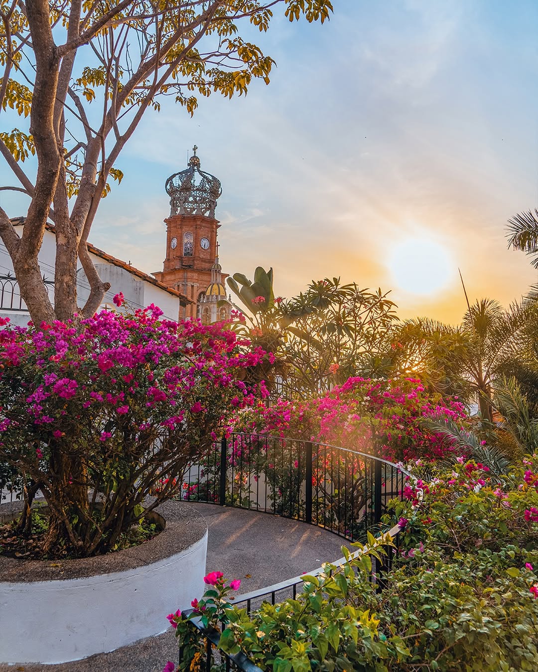 La belleza de Puerto Vallarta se descubre en cada rincón.

📸: @visitpuertovallarta

#abzturístico #másqueunarevista #PuertoVallarta #travel #viajar #mar #méxico