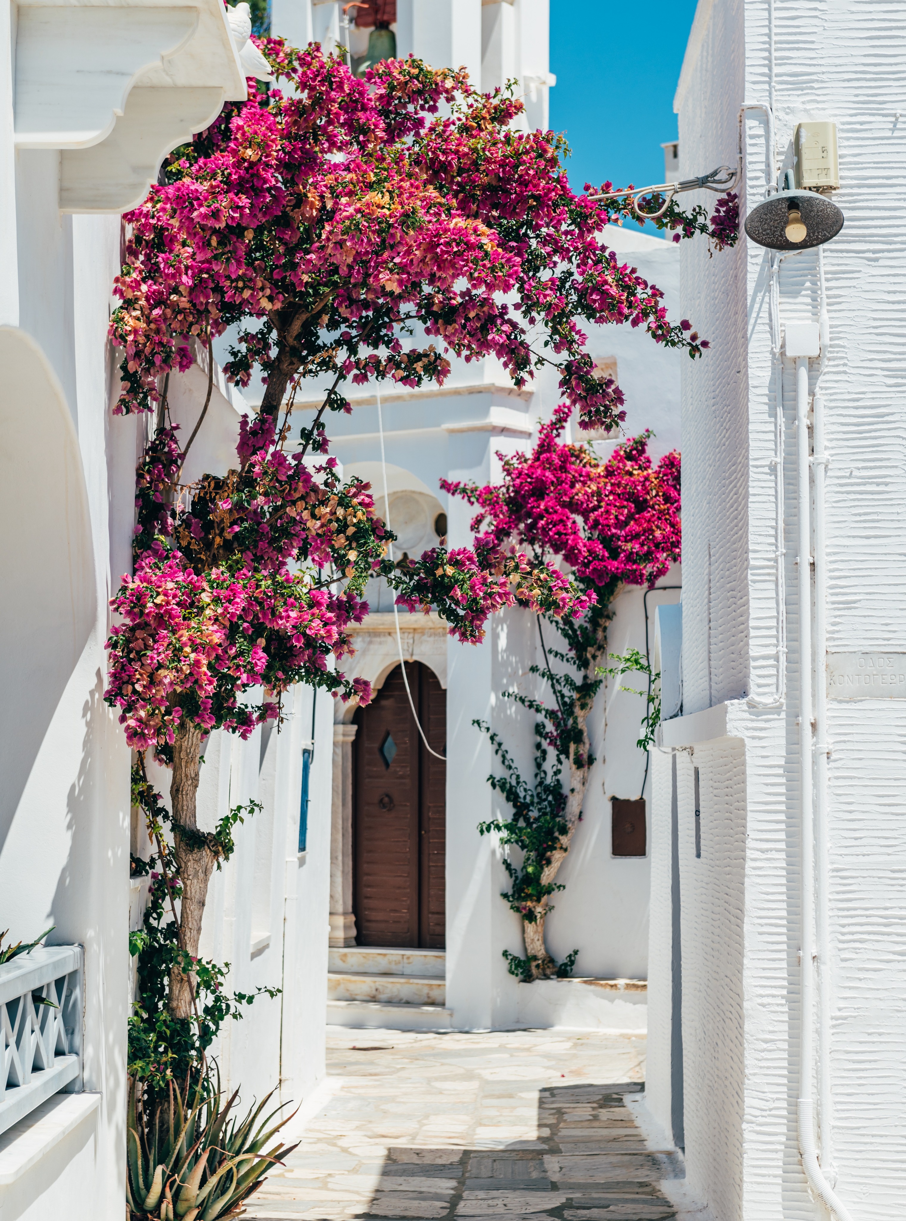 A veces solo hay que detenernos para poder apreciar los pequeños detalles que nos regala un viaje.

#abzturístico #másqueunarevista #Grecia #IsladeTinos