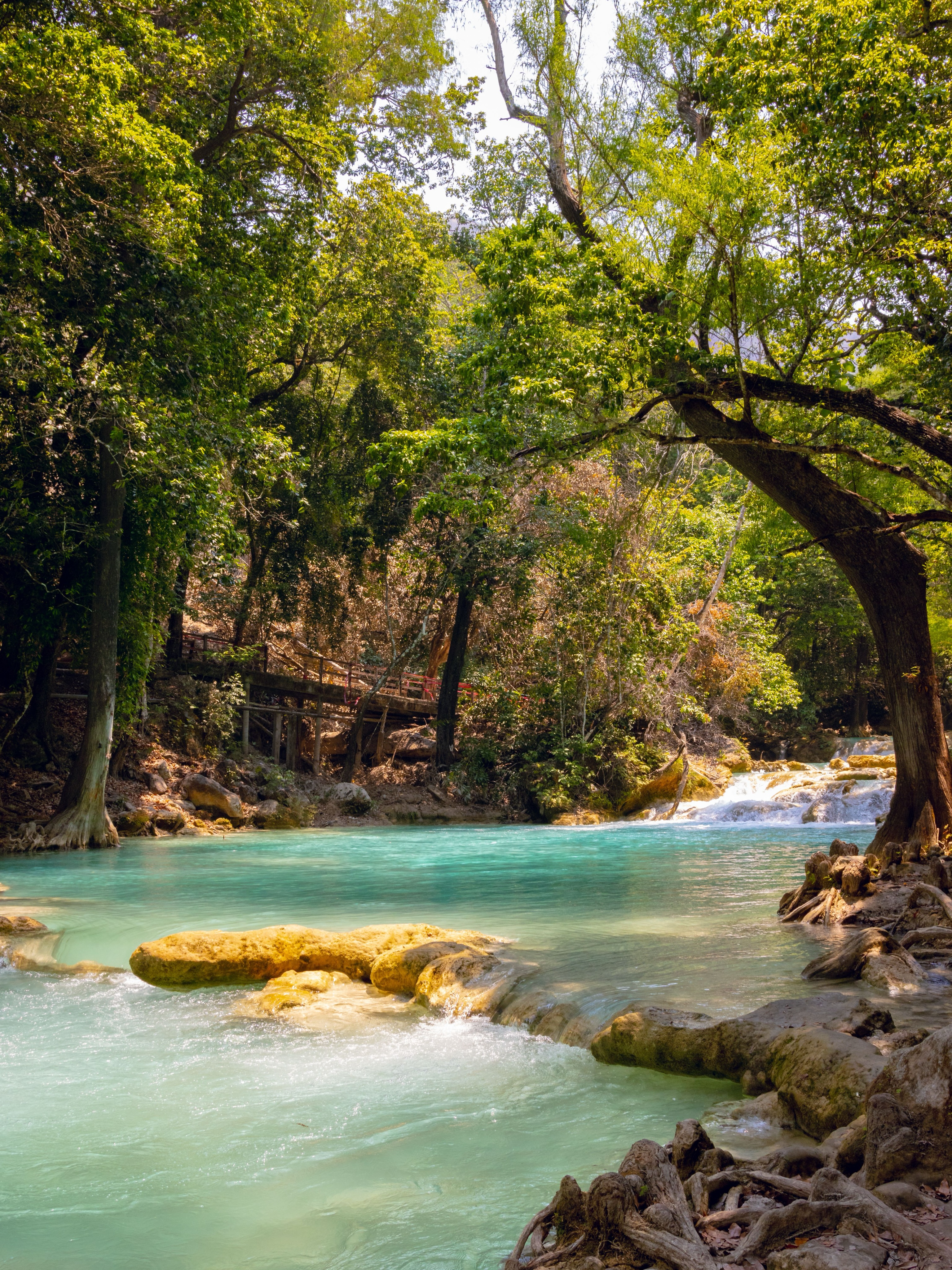 En Chiapas, la naturaleza es una invitación a desconectarte de la rutina y descubrir rincones llenos de magia.

#abzturístico #másqueunarevista #Chiapas